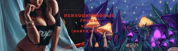 бошки Краснотурьинск